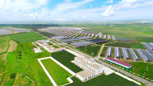 鄉(xiāng)村振興看長(zhǎng)春 走在農(nóng)業(yè)科技創(chuàng)新的路上,她斗志昂揚(yáng)