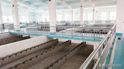 長春神環(huán)科技有限責任公司 構建環(huán)保產(chǎn)業(yè)共生成長新生態(tài)